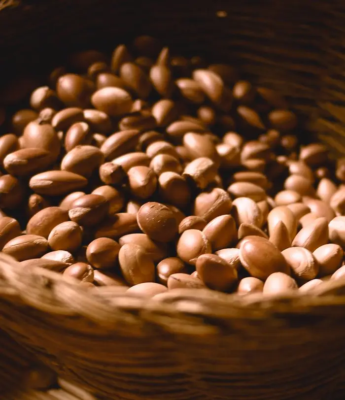 Argan - Argan
